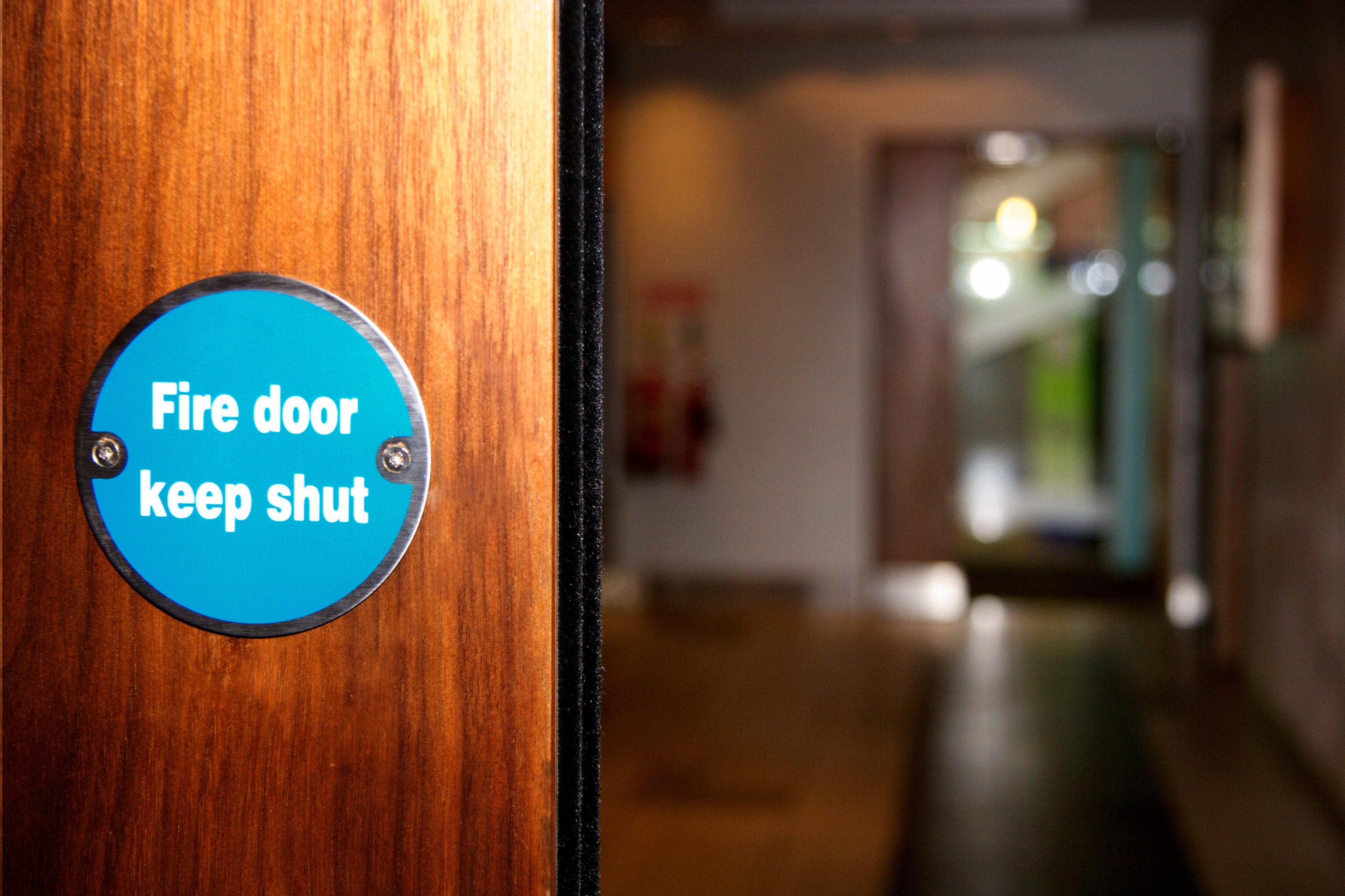 fire door low res 